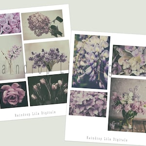 Lavender Mae printable aesthetic photos for junk journaling and planners, digital