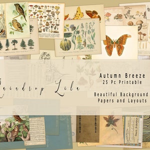 Autumn Breeze- Instant Download afdrukbare, digitale Junk Journal Papers, kunst, regendruppel lila