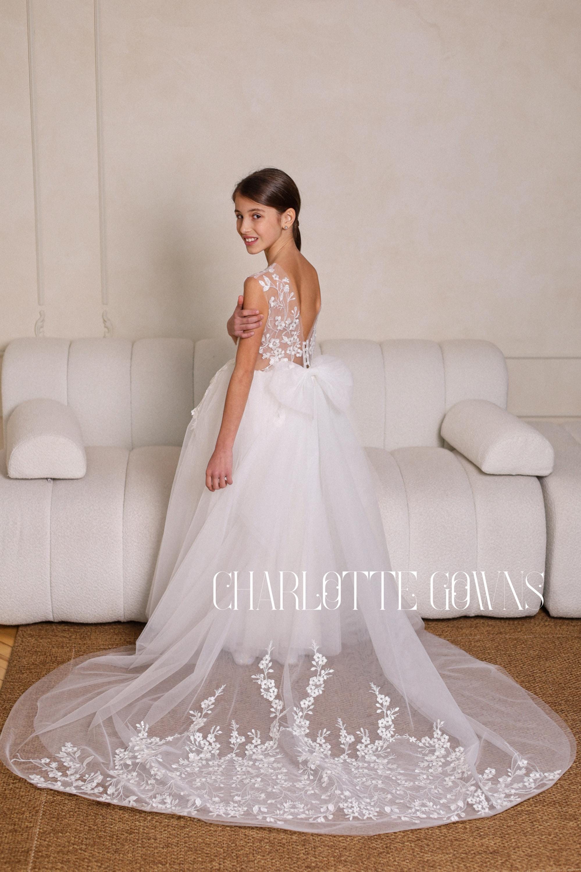 Solana Anne Barge Watteau Train Wedding Dress Boho Vintage-inspired Wedding  Dress