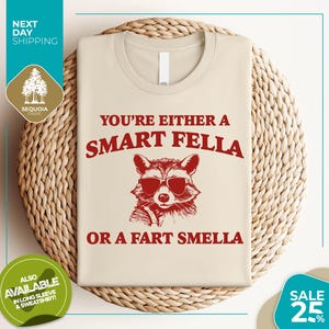 Are You A Smart Fella Or Fart Smella | Retro Cartoon T Shirt | Weird T Shirt | Meme T Shirt | Trash Panda T Shirt | Unisex