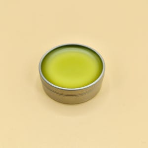 Plantain Salve Natural Herbal Remedy Wound Cream Unscented Ointment Skin Eczema Balm Psoriasis Holistic Plantago