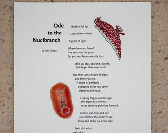 Poetry Broadside — Ode to the Nudibranch — poem by Jim Cokas, art and design by Jim Cokas