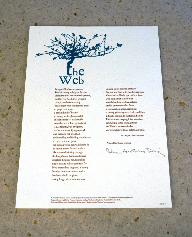 Letterpress Poetry Broadside Print The Web Poem by Alison Hawthorne Deming. Art and Design by Jim Cokas image 1