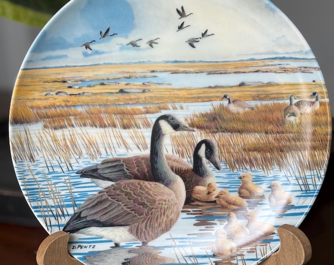 Bradford Exchange ‘The Family’ Decorative Plate - Art by Donald Pentz, Plate made by Dominion China