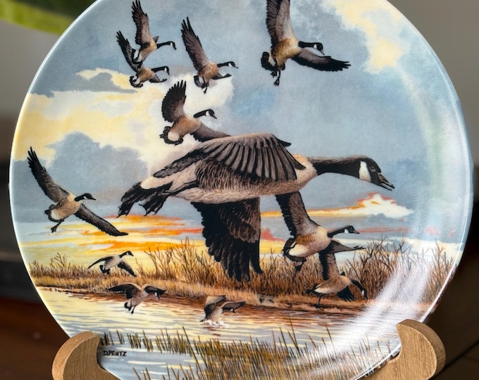Bradford Exchange ‘The Landing’ Decorative Plate - Art by Donald Pentz, Plate made by Dominion China