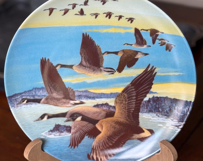 Bradford Exchange ‘Southward Bound’ Decorative Plate - Art by Donald Pentz, Plate made by Dominion China