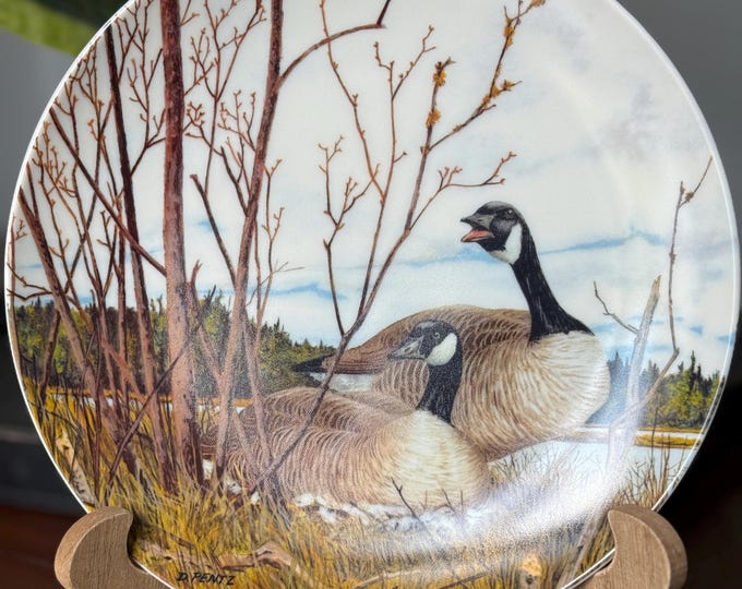 Bradford Exchange ‘Nesting’ Decorative Plate - Art by Donald Pentz, Plate made by Dominion China