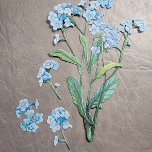 Forget- Me- Not Ephemera Die Cut