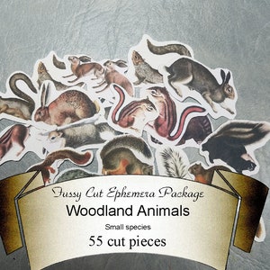 May include: A set of 55 fussy cut ephemera pieces featuring woodland animals. The animals are illustrated in a vintage style and include squirrels, rabbits, and chipmunks. The ephemera is perfect for scrapbooking, card making, and other crafting projects.