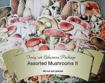 Mushrooms II Mini Ephemera, Paper Ephemera Pack, Pre Cut Ephemera, Vintage Fussy cuts,