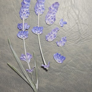May include: Purple lavender flower paper cutouts on a gray textured background. The cutouts are in various sizes and shapes, including individual flowers and stems.