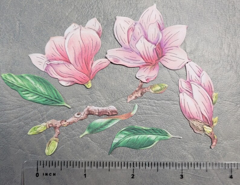 Magnolia Blossom Die Cut Ephemera, 20 Pieces Magnolia Fussy Cuts - Etsy