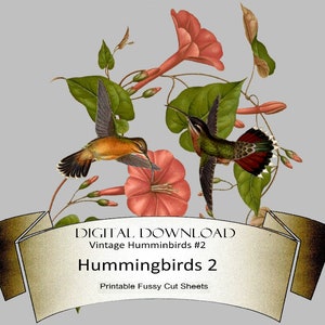 Hummingbird Ephemera, Downloadable Ephemera , Bird Ephemera, Hummingbird Fussy cuts