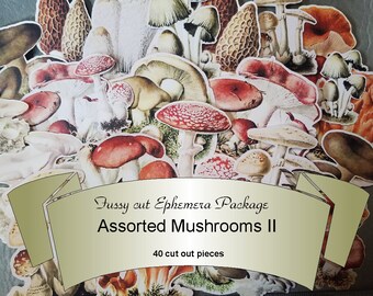 Mushrooms II Ephemera, Paper Ephemera Pack, Pre Cut Ephemera, Vintage Fussy cuts,