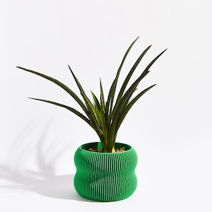 May include: A green snake plant in a bright green, wavy, textured ceramic pot.
