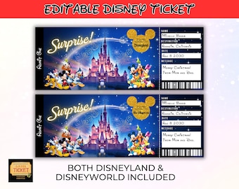Editable Disneyland Ticket, Disneyworld Ticket, Surprise Reveal Editable Ticket, Theme Park Ticket, Surprise Ticket Gift, Instant Download