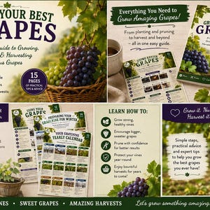 May include: A 15-page instructional guide titled Grow Your Best Grapes, featuring text on planting, pruning, and harvesting. The guide includes a yearly calendar, tips for soil and pest management, and illustrations of purple and green grapes.