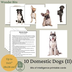 Cartes Bits Intelligence | Set pour chiens domestiques | Cartes d'apprentissage numériques imprimables pour enfants
