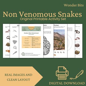 May include: A digital printable activity set called "Non Venomous Snakes" by Wonder Bits. The set features various activity sheets with real images and a clean layout. The words "Real Images and Clean Layout" and "Digital Download" are also visible.