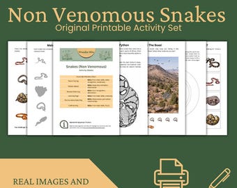 Snakes Printable Activity Set for Kids | Educational Worksheets | Preschool & Early Learning PDF Teaching Kindergarten