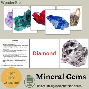 Minerale edelstenen Flashcard | Educatieve geologiekaart voor kinderen en liefhebbers van mineralen | Afdrukbare natuurleerkaart | Bits of Intelligence-kaart