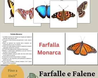 Farfalle e Falene / Schede Educative / Carte Didattiche / Bits of Intelligence Cards / Flash cards