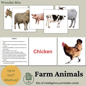 Boerderijdieren-flashcards voor kinderen | Educatieve dieren leerkaarten | Afdrukbare kaart met echte fotoboerderijdieren | Stukjes intelligentiekaarten