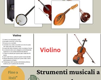Strumenti musicali a corda / Schede Educative / Carte Didattiche / Bits of Intelligence Cards / Flash cards