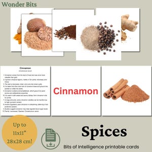 Kruiden Flashcards | Educatieve culinaire kruidenkaarten voor kinderen| Afdrukbare culinaire leerkaarten | Stukjes intelligentiekaarten
