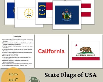 Tarjetas didácticas de banderas de los estados de EE. UU.: Montessori para educación en casa (descarga digital en PDF y PNG)
