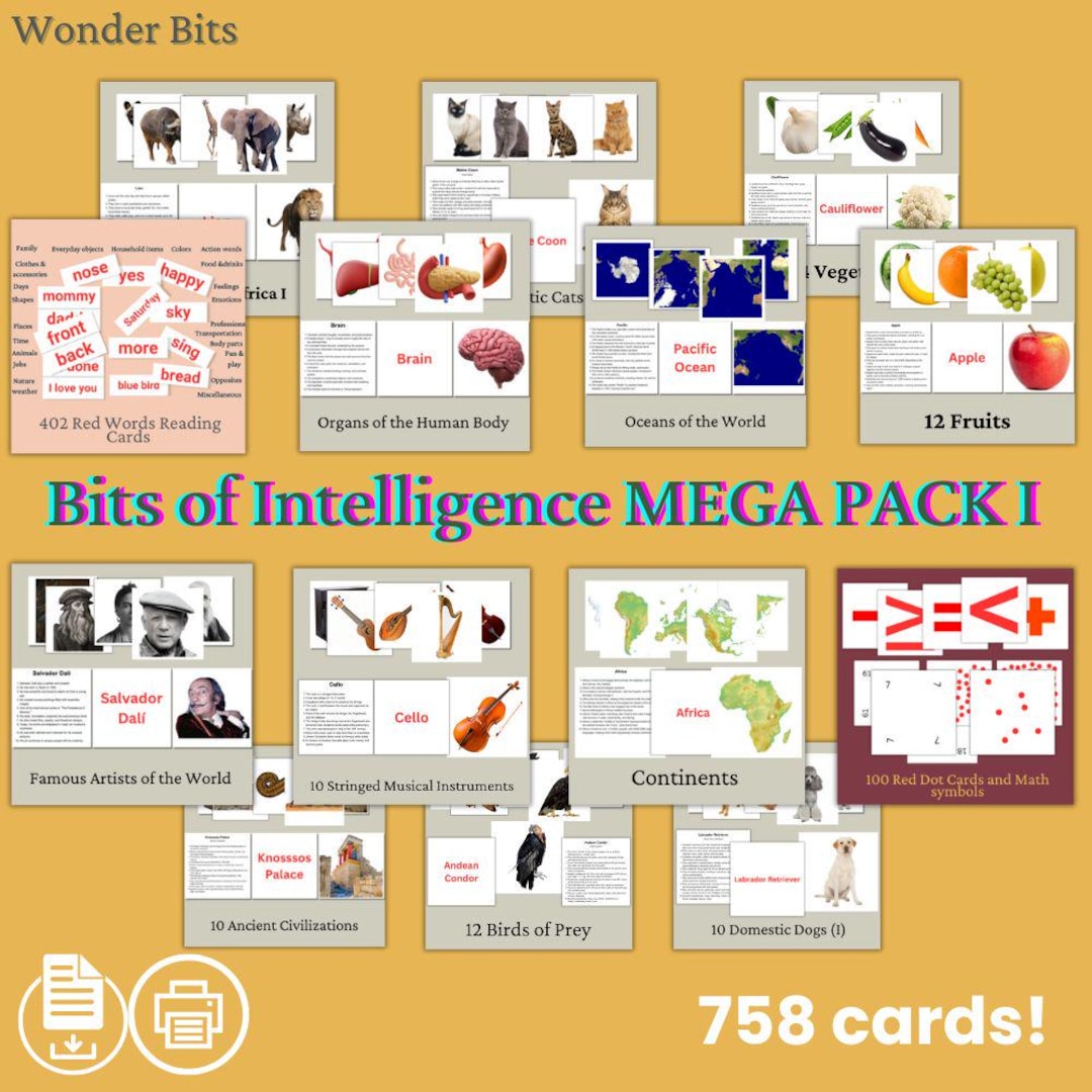 Mega Pack Bits of Intelligence Flashcards I 14 Educational Printable ...