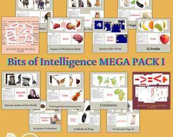 Mega Pack de tarjetas didácticas de Bits of Intelligence: Paquete de aprendizaje temprano (imprimible)