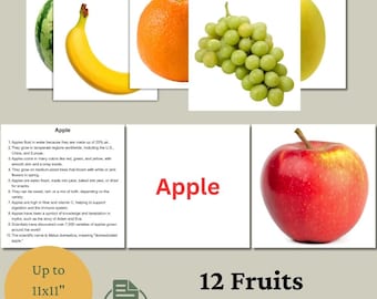 Tarjetas didácticas de frutas: Tarjetas de aprendizaje temprano para niños (PDF y PNG)