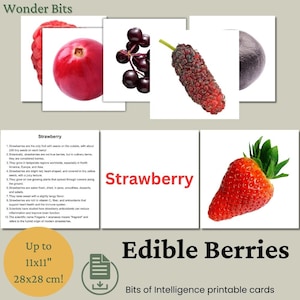 Flashcard sur les baies comestibles | Carte d'apprentissage amusante et éducative sur les baies pour les enfants | Flashcards d'apprentissage imprimables | Cartes Morceaux d'intelligence