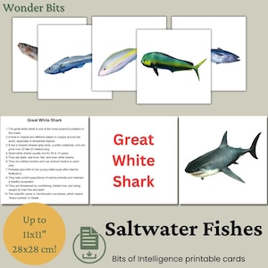 Flashcard de peixes de água salgada para crianças | Cartões educativos sobre animais marinhos | Cartão de peixes oceânicos com fotos reais para impressão | Cartões de inteligência