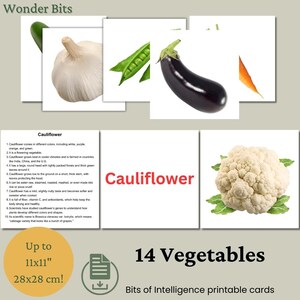 Flashcards sur les légumes | Cartes d'apprentissage amusantes et éducatives pour les enfants | Cartes d'apprentissage imprimables sur les légumes | Cartes Morceaux d'intelligence