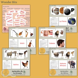 Puede incluir: Tarjetas educativas "Wonder Bits" en inglés y español. Las tarjetas presentan varios temas, como animales, partes del cuerpo y objetos cotidianos. Cada tarjeta mide aproximadamente 28x28 cm.