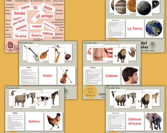 Tarjetas educativas para niños(2-5) / Tarjeta de Bits of Inteligencia / Toddler Busy Book