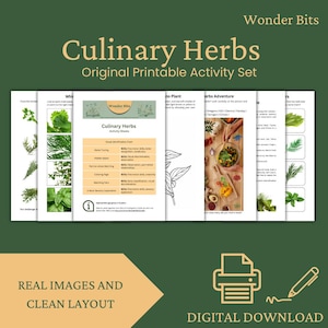 Culinary Herbs Printable Activity Set for Kids | Educational Worksheets | Preschool & Early Learning PDF Cooking