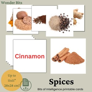 Flashcards sur les épices | Cartes éducatives d'épices culinaires pour enfants | Cartes d'apprentissage culinaire imprimables | Cartes Morceaux d'intelligence