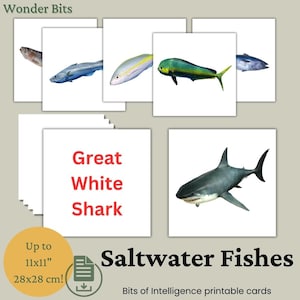 Flashcard de peixes de água salgada para crianças | Cartões educativos sobre animais marinhos | Cartão de peixes oceânicos com fotos reais para impressão | Cartões de inteligência
