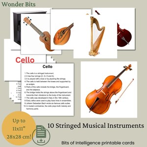 Cartes Bits Intelligence | Ensemble d'instruments de musique à cordes avec les faits et le nom en rouge | Cartes d'apprentissage numériques imprimables pour enfants