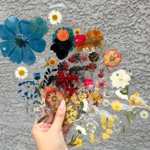 Panel de agenda A5/A6 con flores secas naturales / Accesorio floral hecho a mano