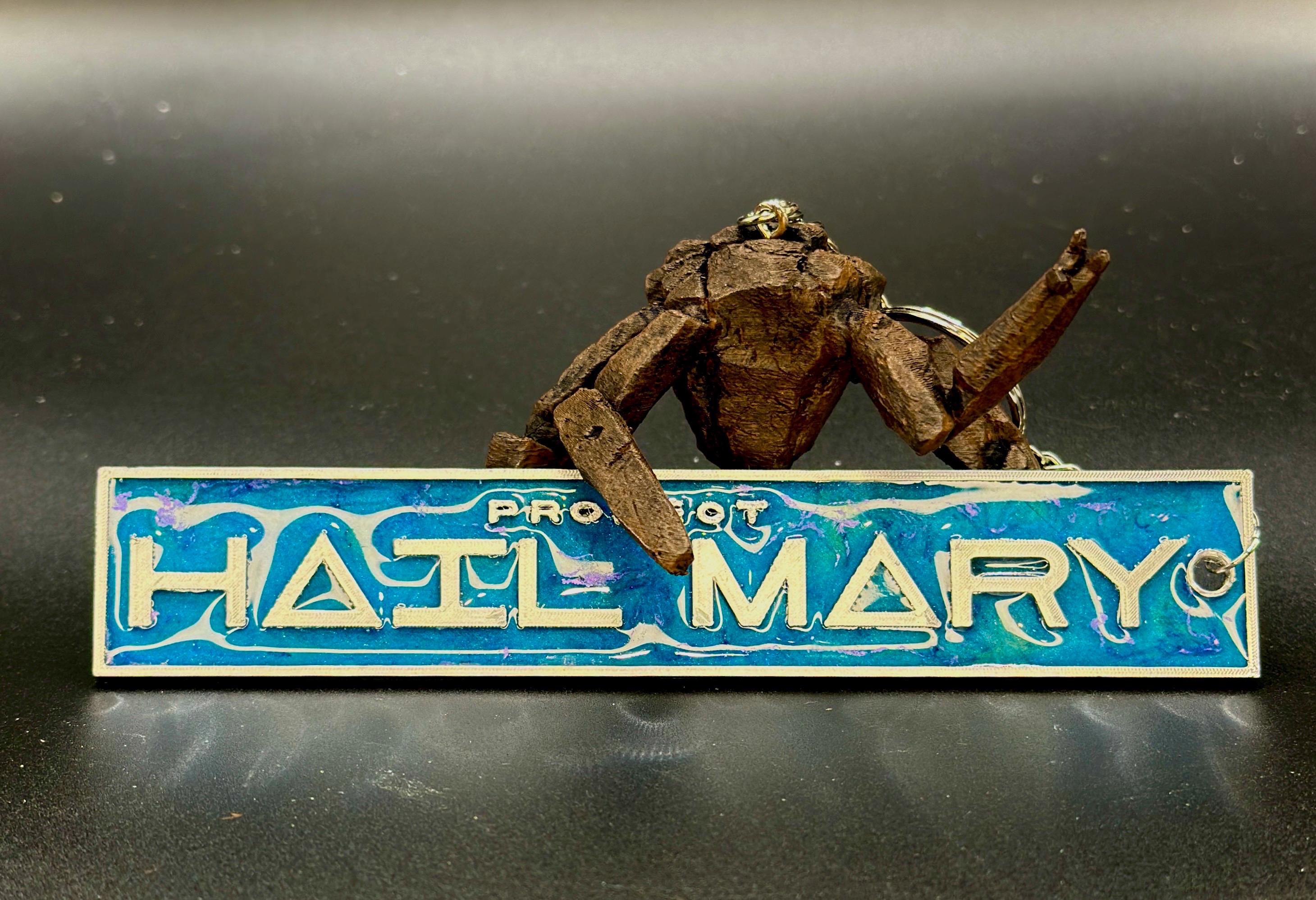 Mission Key Chain Project Hail Mary Inspired Mission Tag Keychain - Etsy Canada
