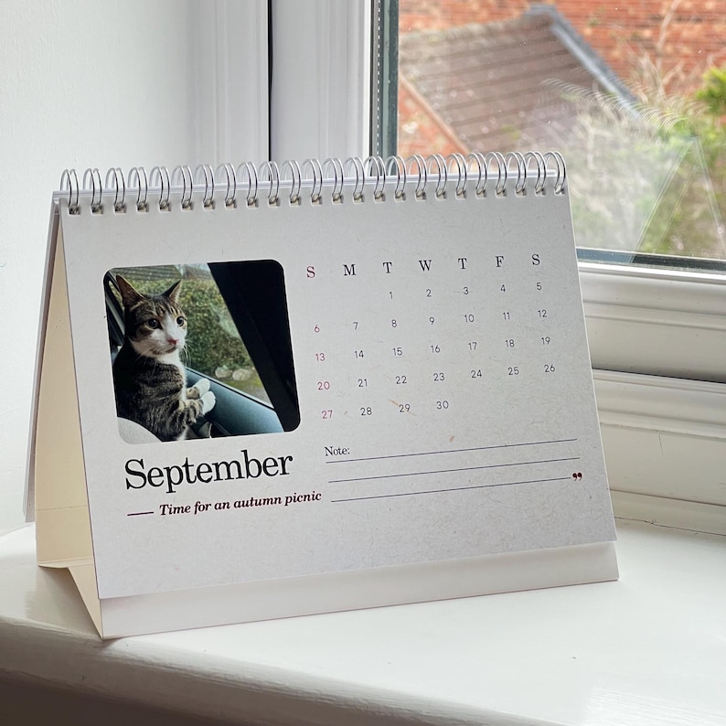 2026 Cat Calendar | Cat Charity Calendar | Toby's Light Feline CKD ...