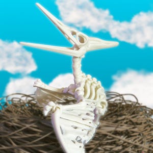 Articulated Pteranodon Pterodactyl Skeleton Dinosaur Fossil Toy Posable Prehistoric Bone Figure for Dino Lovers, Decor, Collectors & Gifts