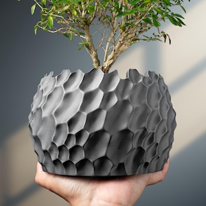 May include: A gray, textured, spherical planter with a honeycomb pattern, holding a small tree with green leaves. The planter is held in a person's hand, showcasing its size and design. The planter's unique texture adds visual interest.