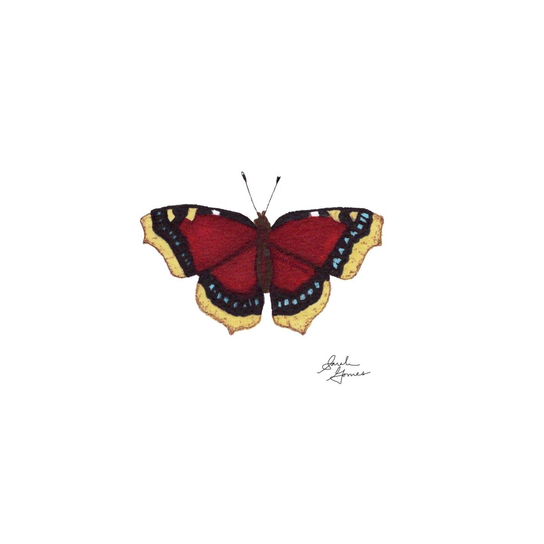 Mourning Cloak -- Individual Butterfly 6x6 in Giclee Art Print - Etsy