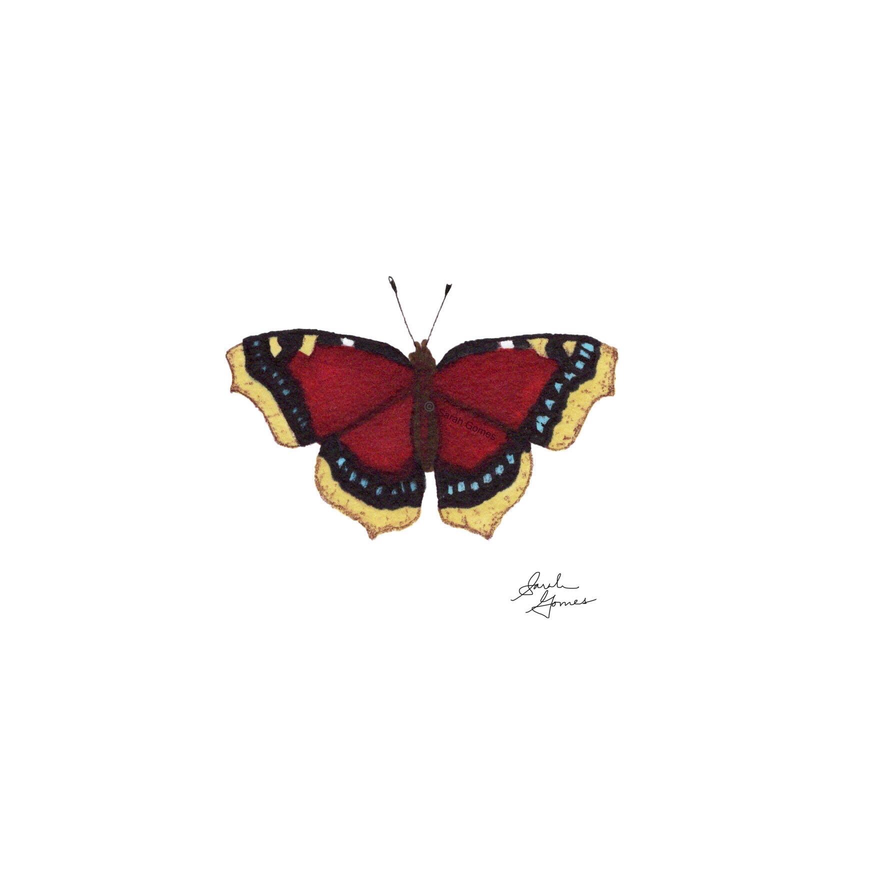 Mourning Cloak -- Individual Butterfly 6x6 in Giclee Art Print - Etsy