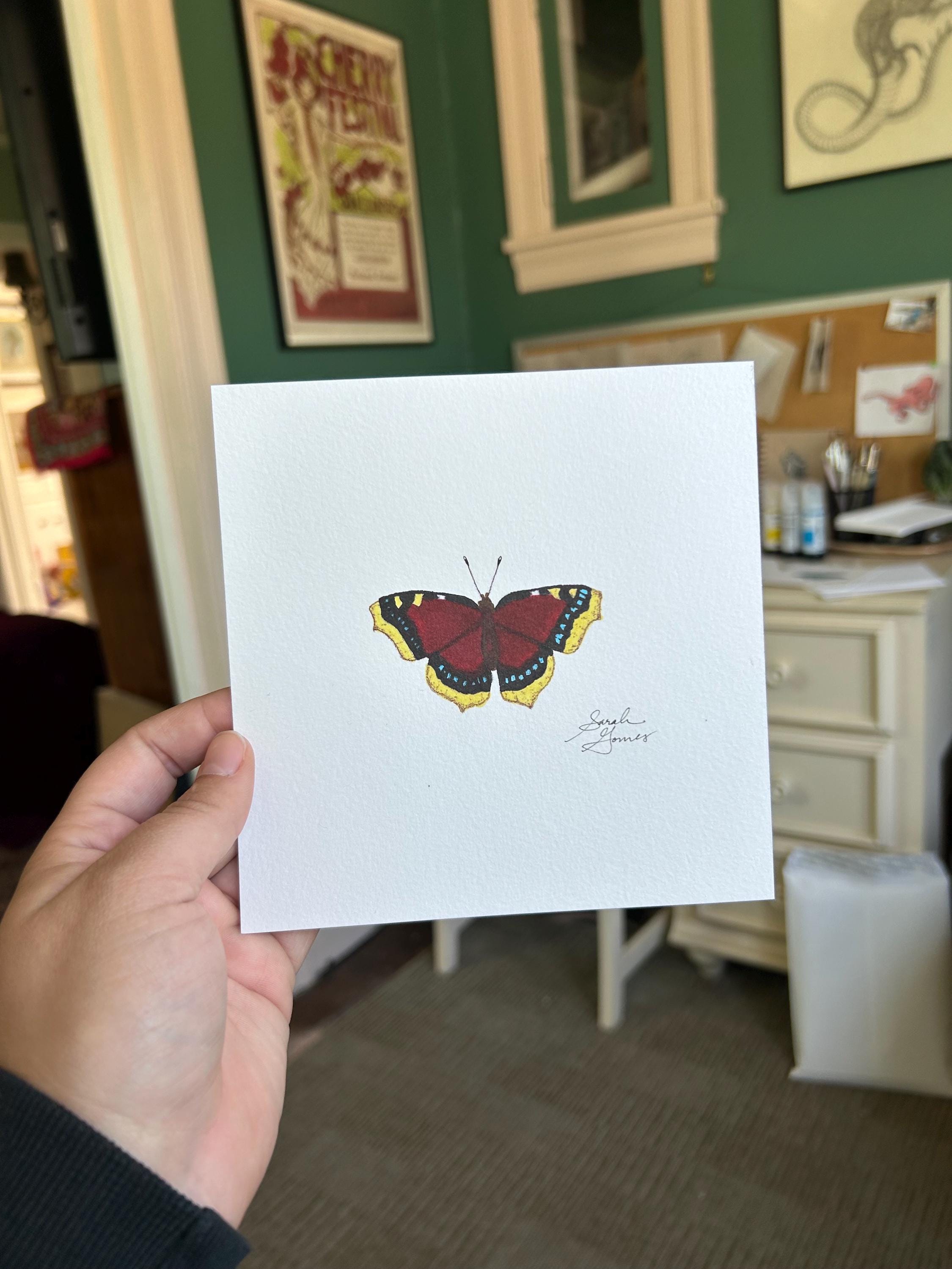 Mourning Cloak -- Individual Butterfly 6x6 in Giclee Art Print - Etsy